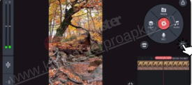 Applying Color Filters in KineMaster: A Quick Guide 5 Preview